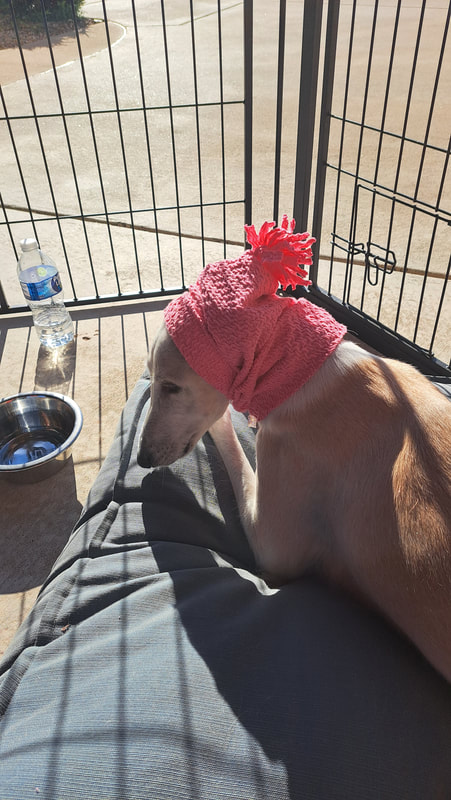 Pink Knit Dog Snood